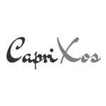 Caprixos es cliente de Goldci de mente digital y vende más con marketing digital